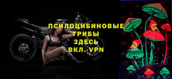 прущие грибы Арсеньев
