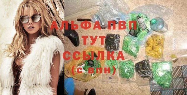 прущие грибы Арсеньев