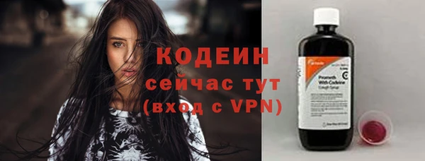 прущие грибы Арсеньев