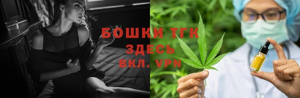 прущие грибы Арсеньев