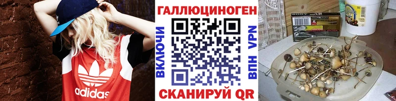 Псилоцибиновые грибы Psilocybe  Бородино 